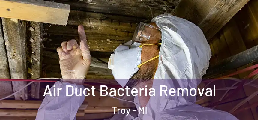  Air Duct Bacteria Removal Troy - MI