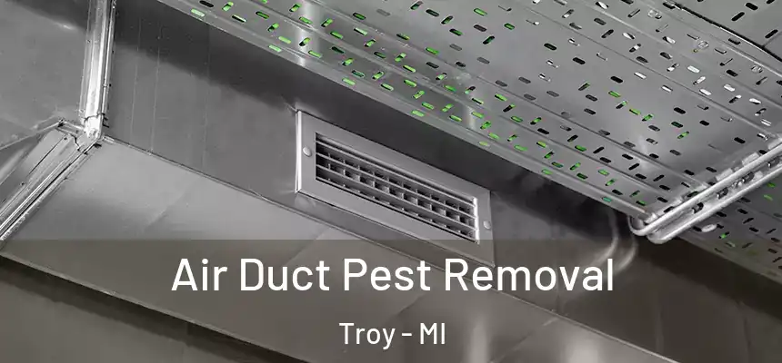 Air Duct Pest Removal Troy - MI