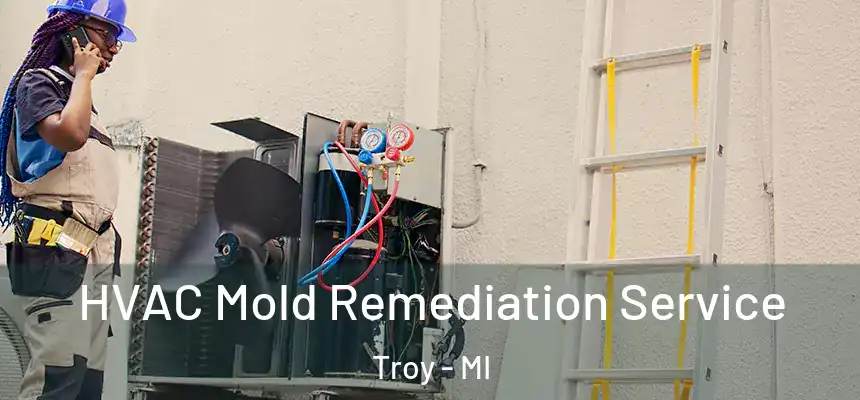  HVAC Mold Remediation Service Troy - MI