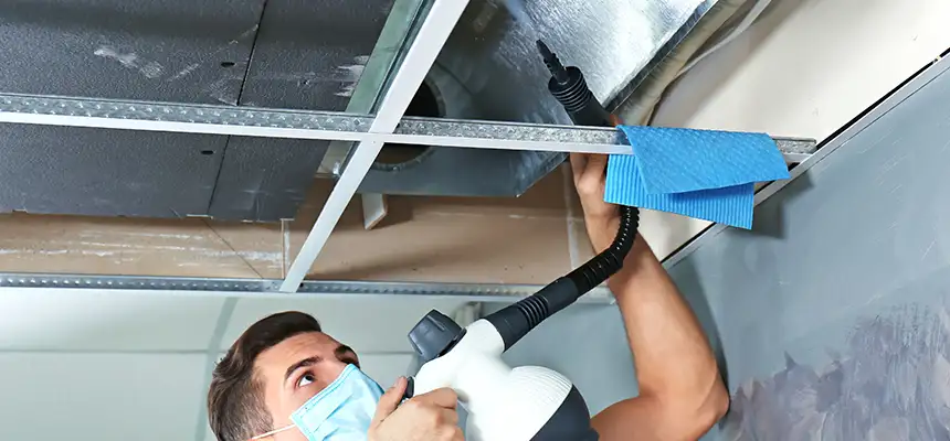 Our Air Duct Rodent Removal Services in Troy, MI