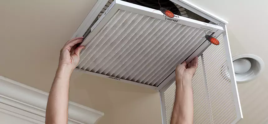 Our Insect Removal from Air Ducts Services in Troy, MI