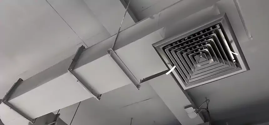 Our Pest Removal From Ducts Services in Troy, MI