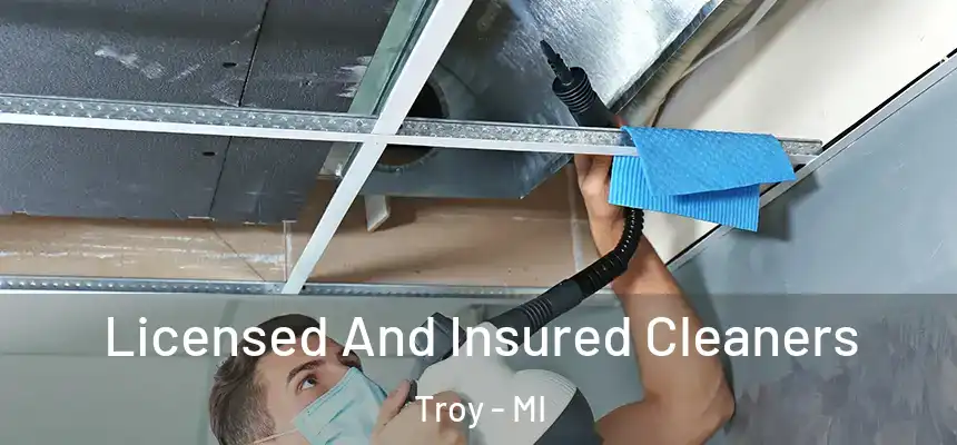  Licensed And Insured Cleaners Troy - MI