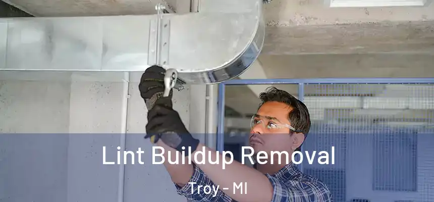 Lint Buildup Removal Troy - MI