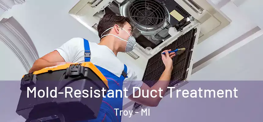 Mold-Resistant Duct Treatment Troy - MI
