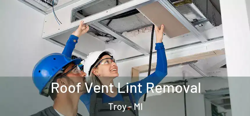  Roof Vent Lint Removal Troy - MI