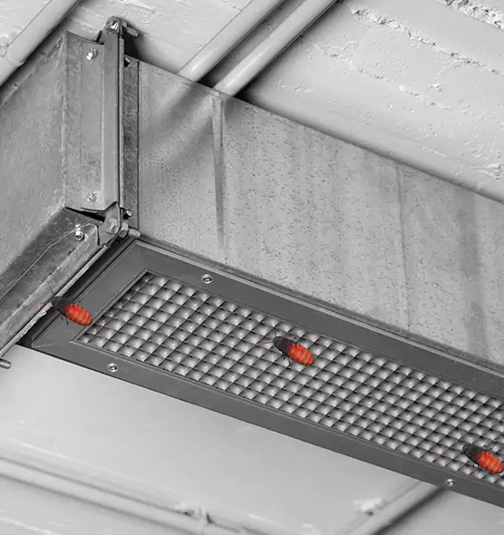 Affordable Insect Removal from Air Ducts in Troy, MI