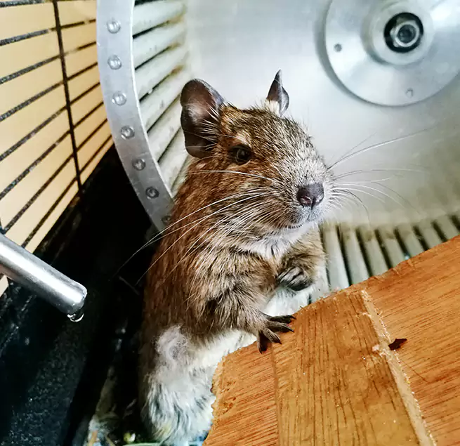 Why Homeowners & Businesses Trust Us Troy, MI